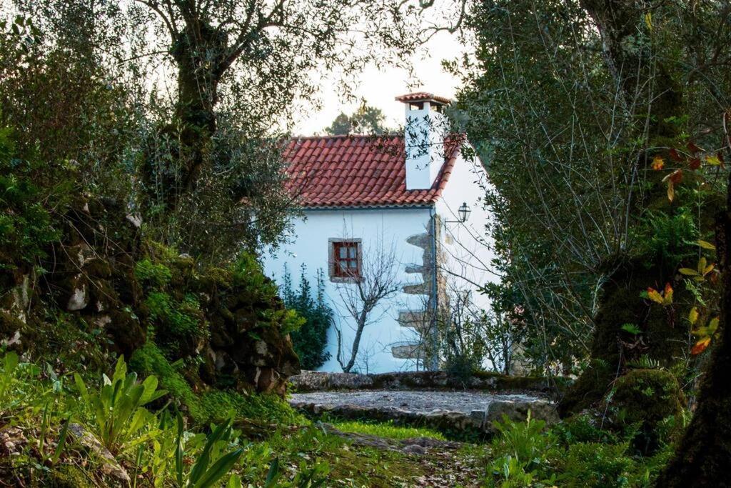Casa Do Vale Do Papo Villa Pombal  Exterior foto